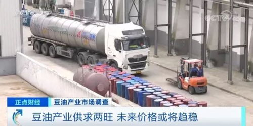 大豆油价格飙升20% 加工厂年营业额预增50%，国内贸易代理面临机遇与挑战